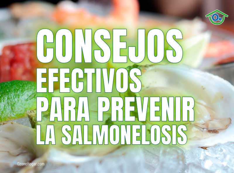 Consejos efectivos para prevenir la salmonelosis