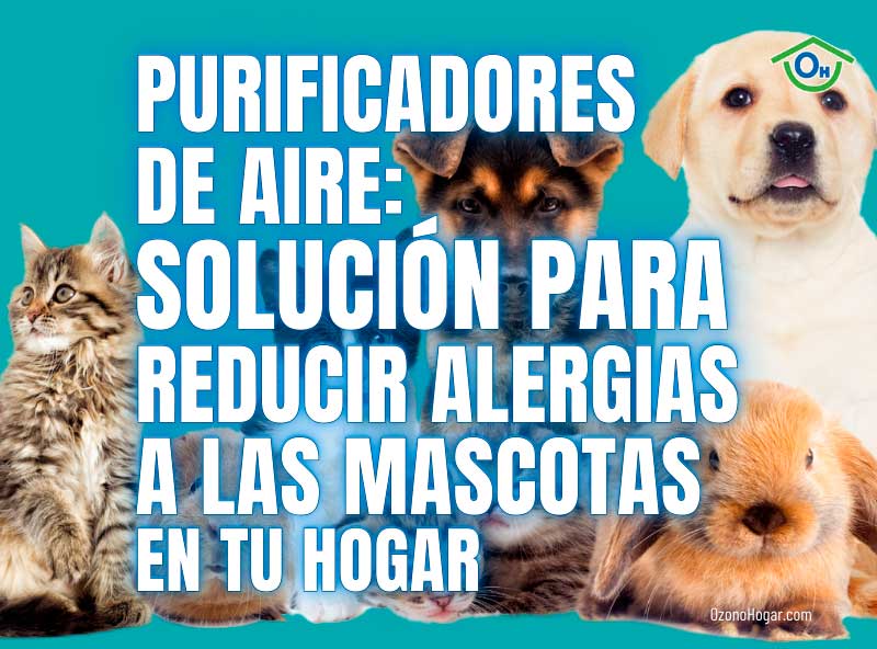 Cómo reducir la alergia a los animales y mascotas con un purificador de aire