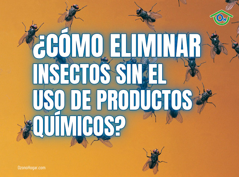 Cómo Eliminar Insectos sin el Uso de Productos Químicos