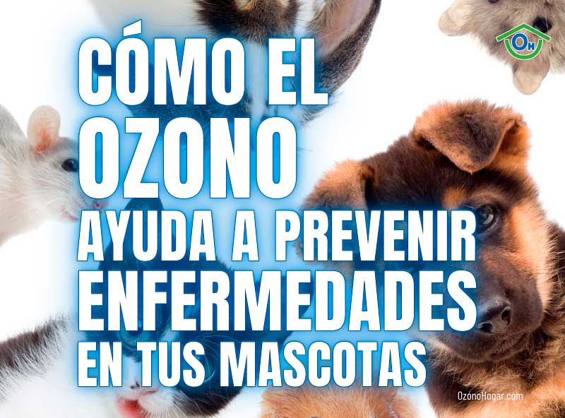 Cómo el ozono ayuda a prevenir enfermedades en tus mascotas