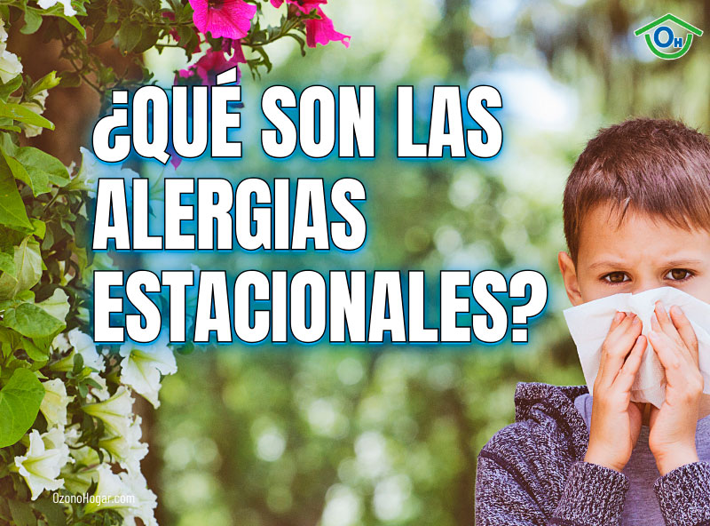 ¿Qué son las alergias estacionales?