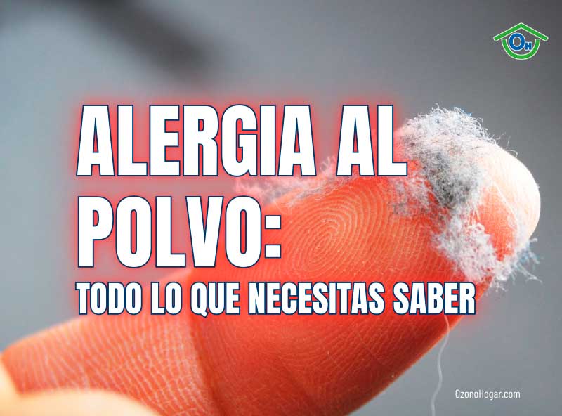 Alergia al polvo: Síntomas, causas, cómo prevenirla y evitarla