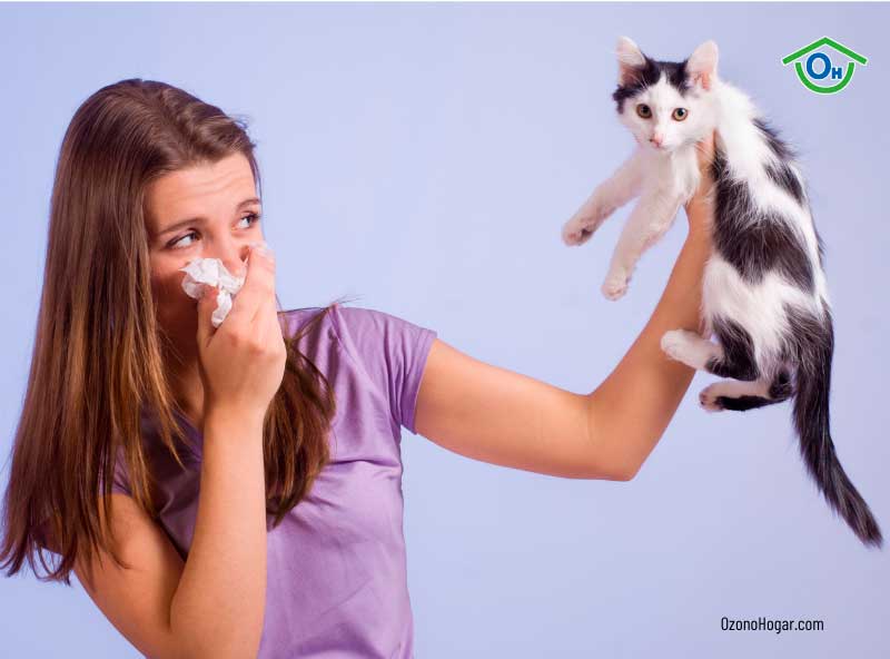 ¿Cuáles son los síntomas más comunes de la alergia a los gatos?