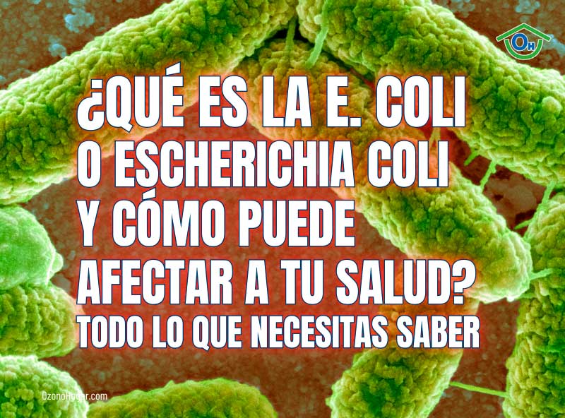 ¿Qué es la E. coli o Escherichia coli y cómo puede afectar a tu salud?