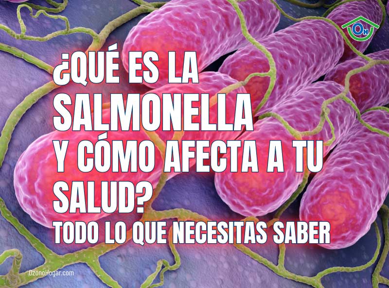 ¿Qué es la Salmonella y cómo puede afectar a tu salud?
