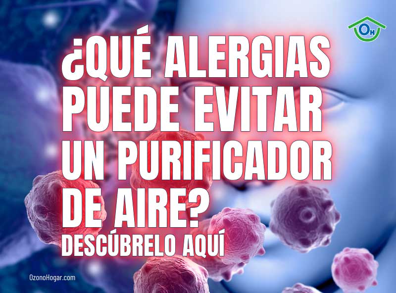 ¿Qué Alergias Puede Evitar un Purificador de Aire?