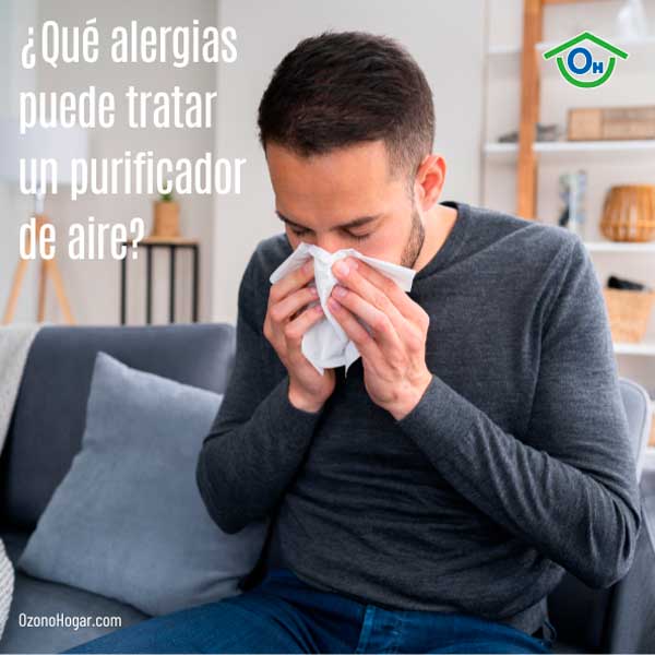 ¿Qué alergias puede tratar un purificador de aire?